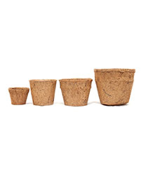 Coir pots