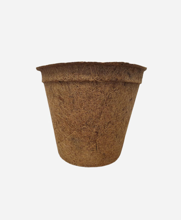 coir pots