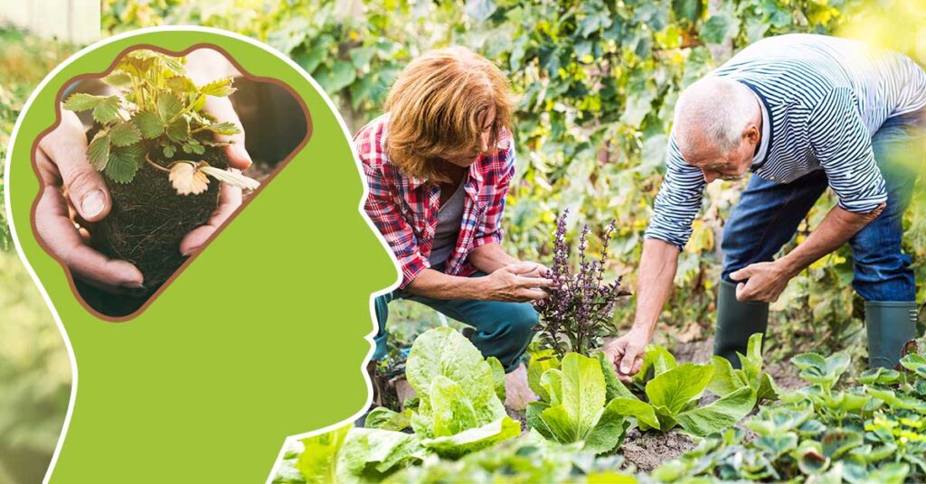 The physical, mental, and social benefits of gardening