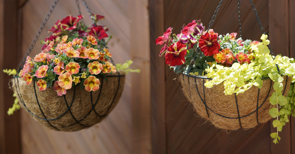 Expand your growing methods with hanging baskets