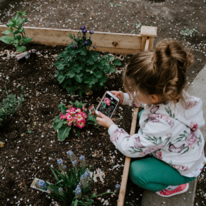Therapeutic-benefits-of-creating-a-sensory-garden-2