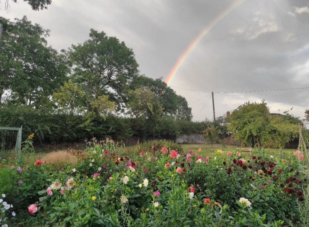 Ellen (country_allotment) 6