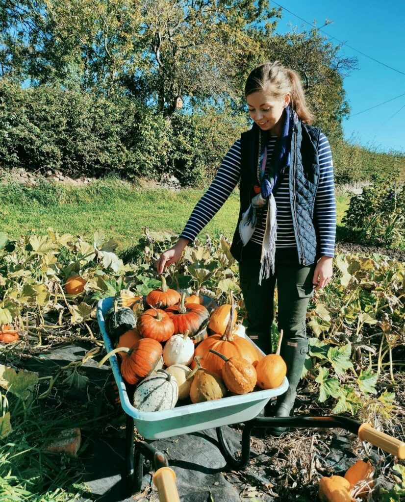 Ellen (country_allotment) 1