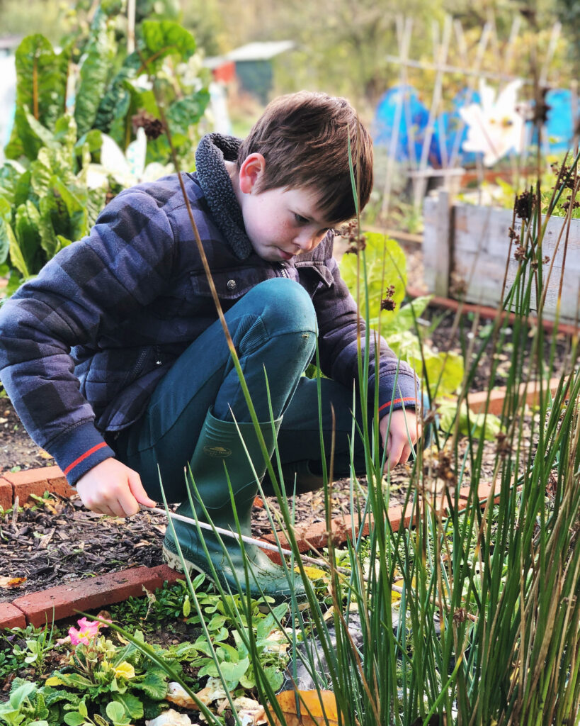 Gardening is my favourite and most effective therapy 9