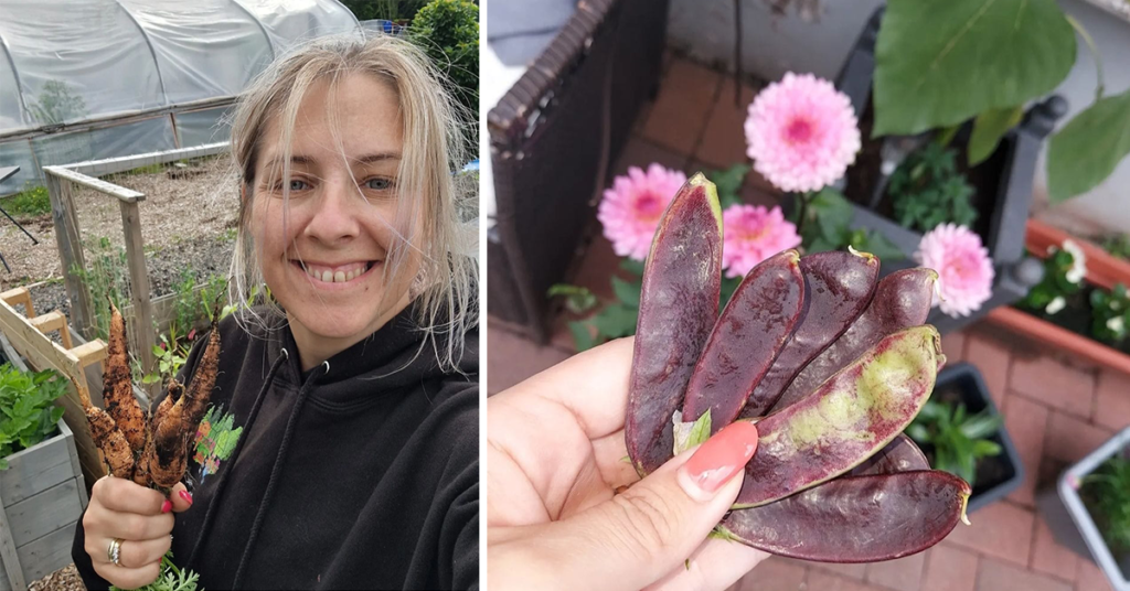 featured-grower-this-week-is-Clare-Louise