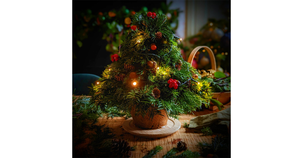 Make your own foraged tabletop Christmas tree using our sustainable coir pot