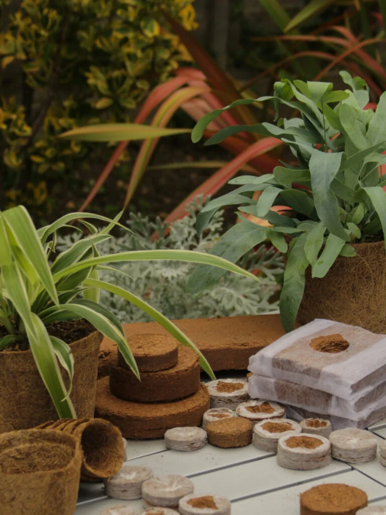 Growing your own: How can CoirProducts help you reduce food waste in your garden?