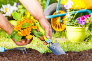 Soil Water Retention