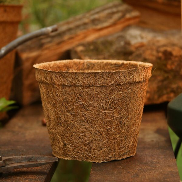 10cm Coir pots pack of 10 - Image 2