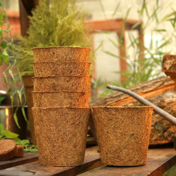 10cm Coir pots pack of 10 - Image 3