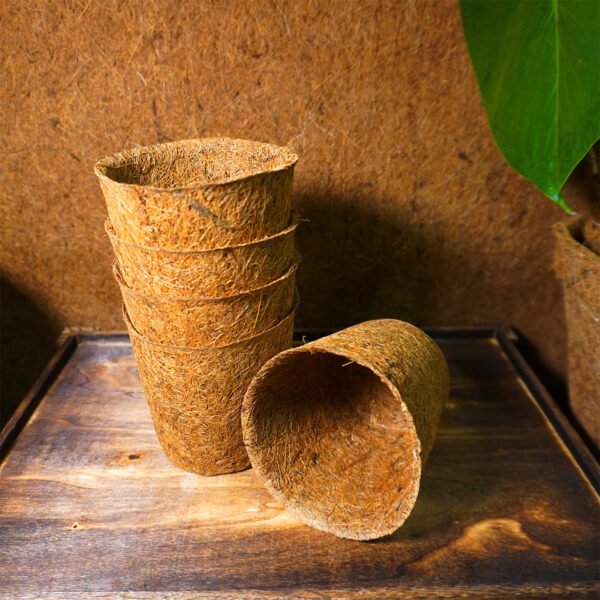 10cm Coir pots pack of 10 - Image 4