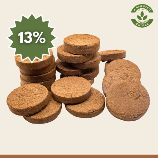 Coir discs 10cm pack of 10