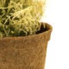 17cm Coir pots pack of 10 - Image 2