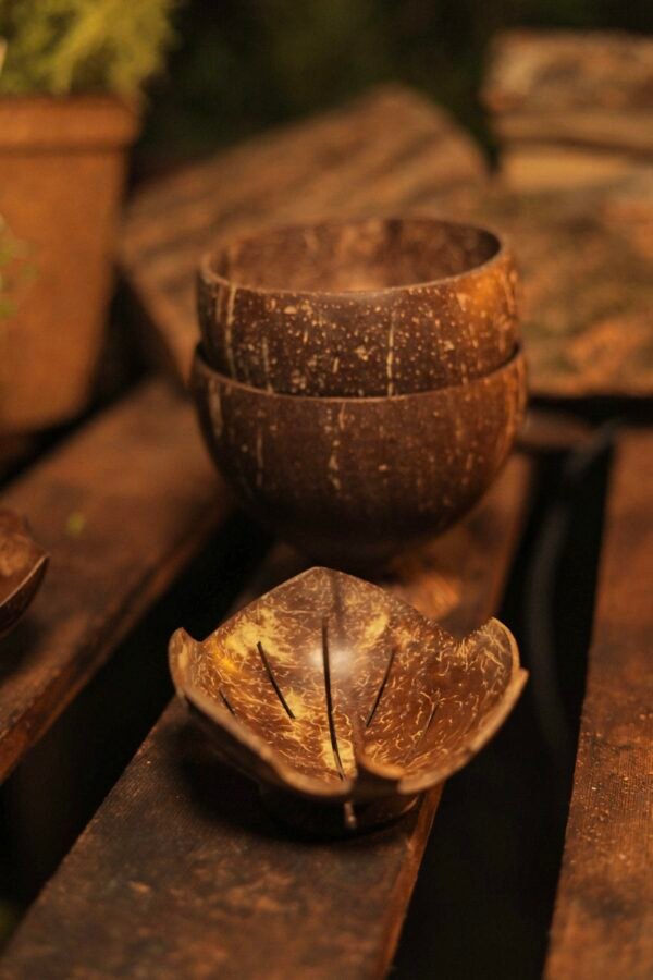 Bowl and spoon - Image 4