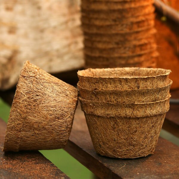 8cm Coir pots  pack of 10 - Image 4