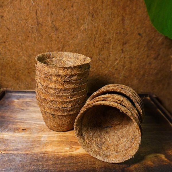 8cm Coir pots  pack of 10 - Image 7