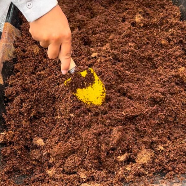 Coir Vital Grow® potting mix by Salike® | 80L (5kg) -  Pack of 2 - Image 4