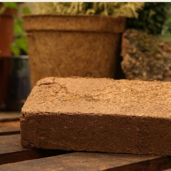 60L (10L X 6) Coir Vital Grow® potting mix by Salike® | 650g X 6 bricks - Image 3