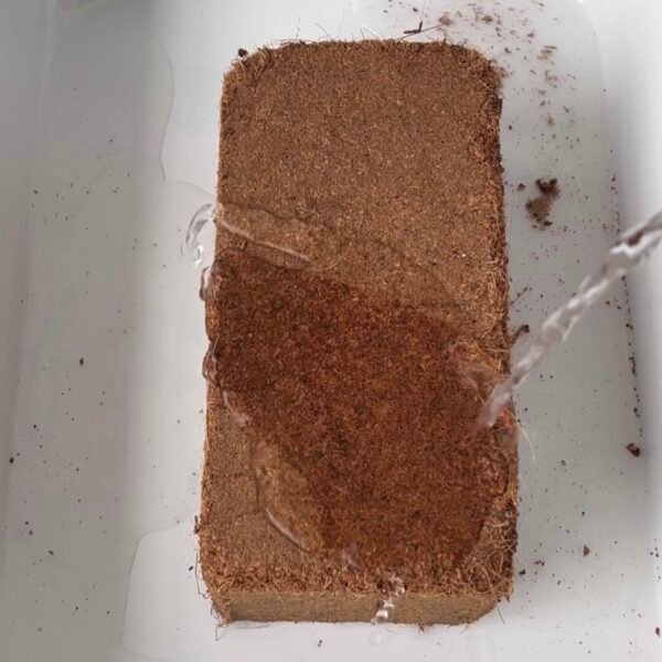 60L (10L X 6) Coir Vital Grow® potting mix by Salike® | 650g X 6 bricks - Image 4