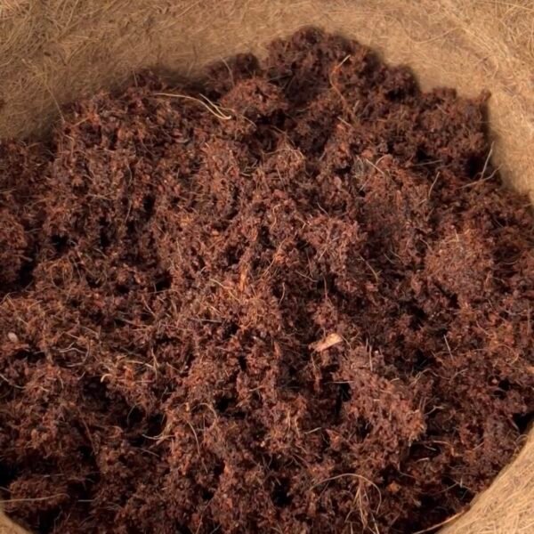 60L (10L X 6) Coir Vital Grow® potting mix by Salike® | 650g X 6 bricks - Image 6