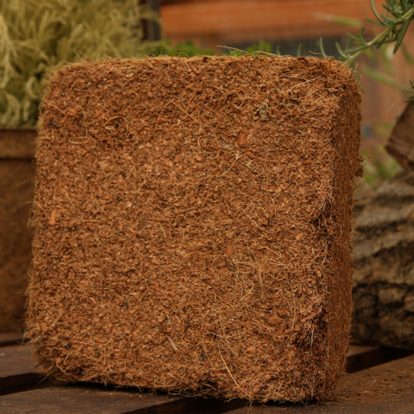 Coir Vital Grow by Salike® potting mix 80L blocks – Full  Pallet - 224 blocks - Image 4