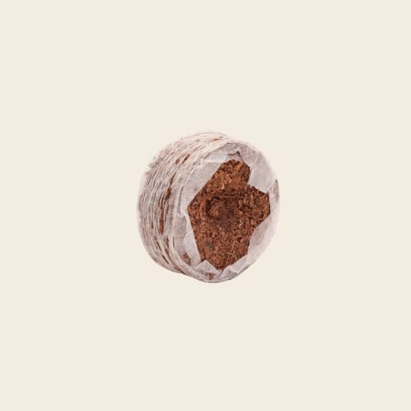 Coir Coins by Salike® 25mm pack of 50 - Image 7