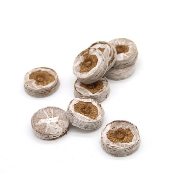 Coir Coins by Salike® 25mm pack of 50 - Image 5