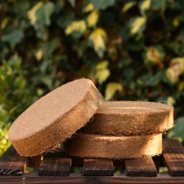 Coir discs 10cm pack of 10 - Image 7