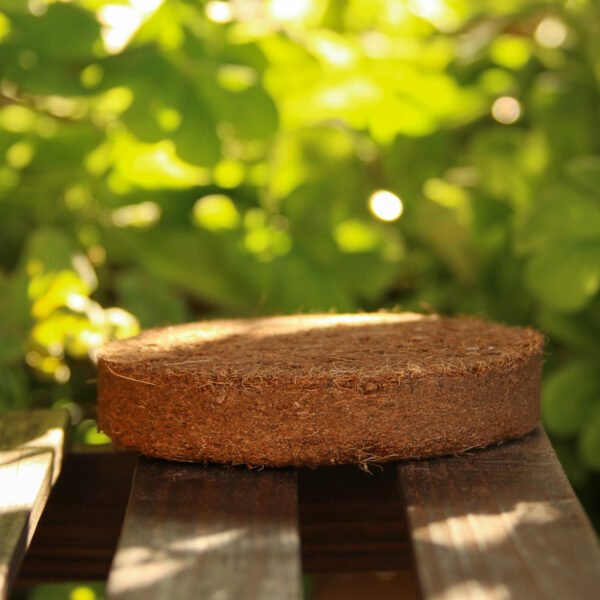 Coir discs 13cm pack of 5 - Image 7