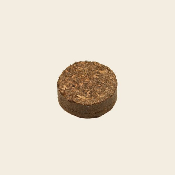 Coir discs 5cm pack of 20 - Image 4