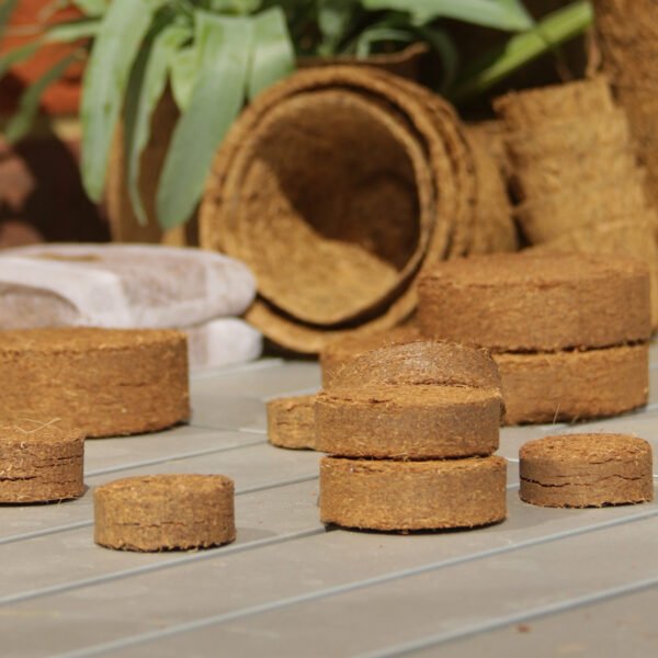 Coir discs 4cm pack of 20 - Image 4
