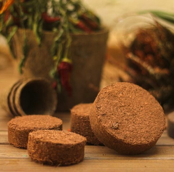 Coir discs 5cm pack of 20 - Image 7