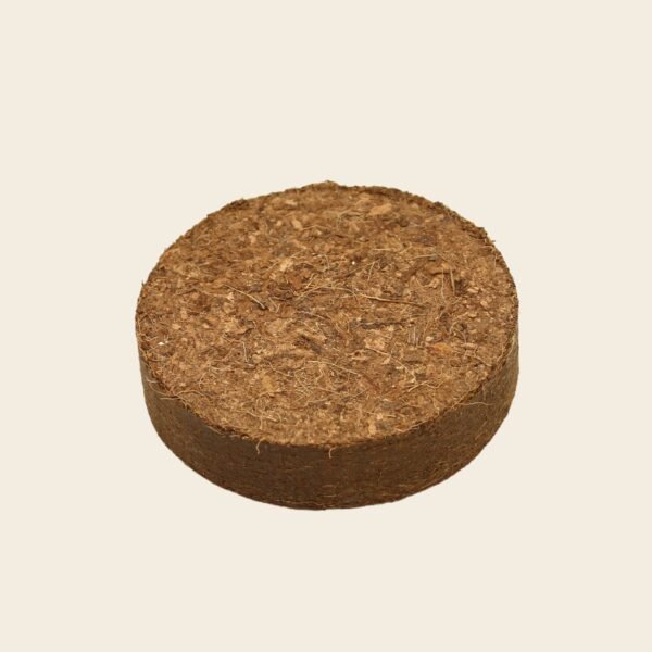 Coir discs 8cm Pack Of 15 - Image 2