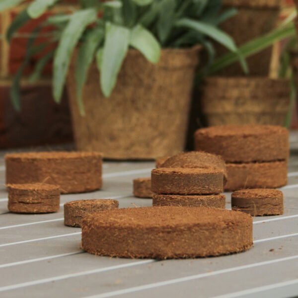 Coir discs 8cm Pack Of 15 - Image 5