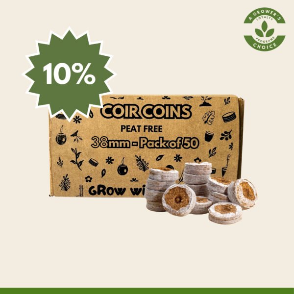 Coir Coins by Salike® 38mm pack of 50