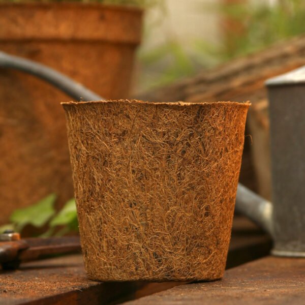 13cm Coir pots pack of 10 - Image 5