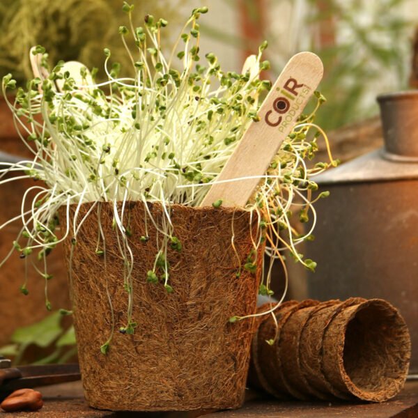 13cm Coir pots pack of 10 - Image 6
