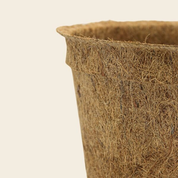 Coir pots 5cm 20 pack - Image 7