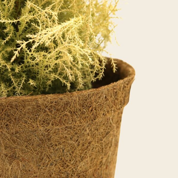 28cm Coir pots pack of 10 - Image 6