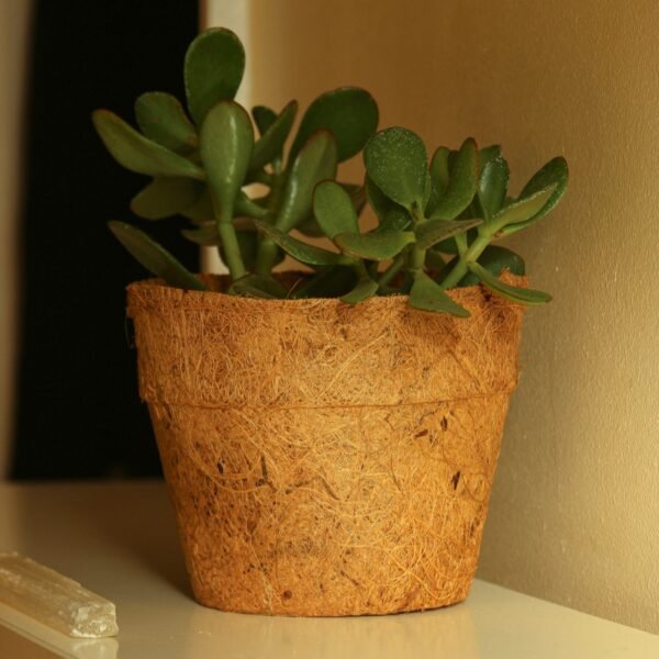 28cm Coir pots pack of 10 - Image 7
