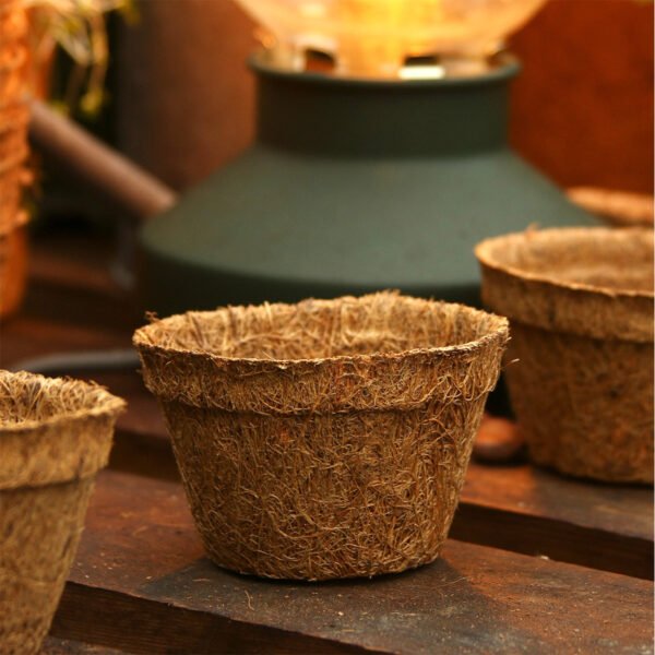 9.5cm Coir pots pack of 10 - Image 5