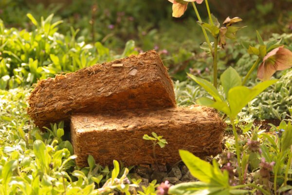Coir-ditioner 500g bricks - Image 3