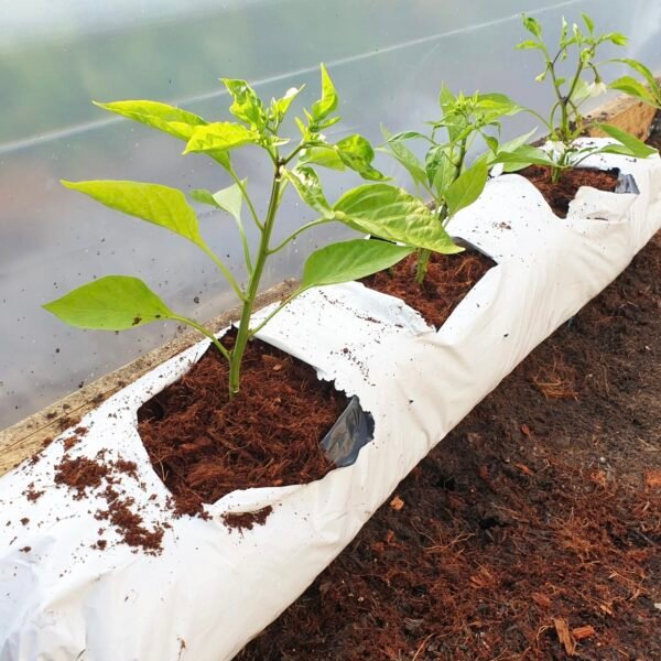 Grow Bags 50cmx15cmx12cm pack of 2 - Image 2
