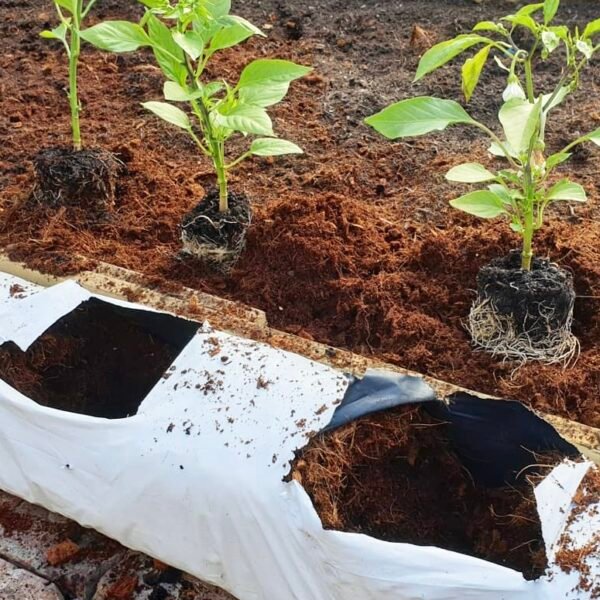 Grow Bags 50cmx15cmx12cm pack of 2 - Image 5