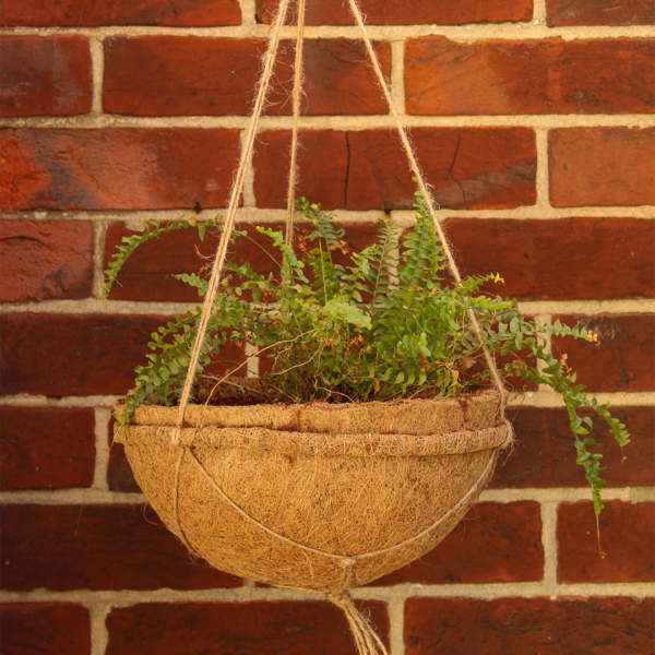 25cm Hanging baskets pack of 2 - Image 3