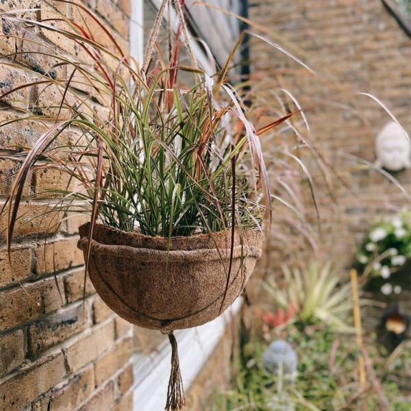 25cm Hanging baskets pack of 2 - Image 6