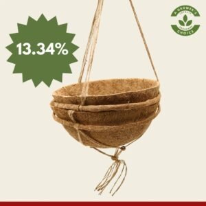 25cm Hanging baskets pack of 2