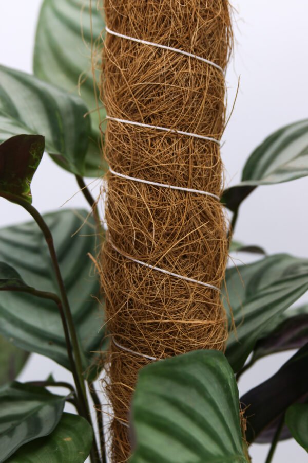 140cm Grow pole - Image 5
