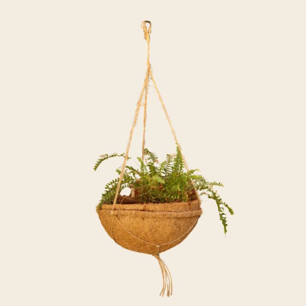 35cm Hanging baskets pack of 2