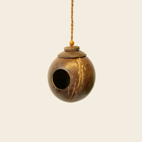Shell Bird Nest - Image 8